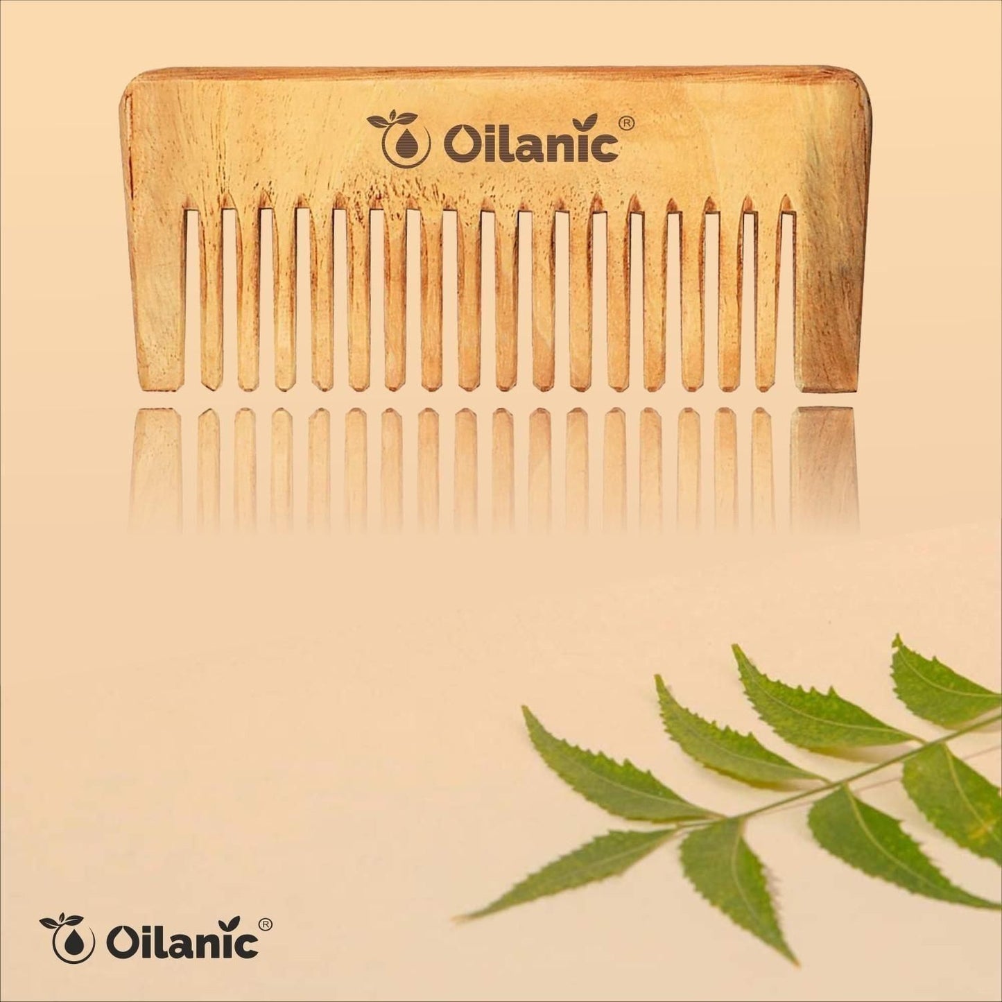 Oilanic  Pure & Natural Karanj Oil( 100 ml) & Herbal Handmade Medium Detangler Neem Wooden Comb(5.5 inches)- For Antidandruff Men & Women Combo Pack